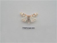 藏品(短棒苔蛾)的圖片